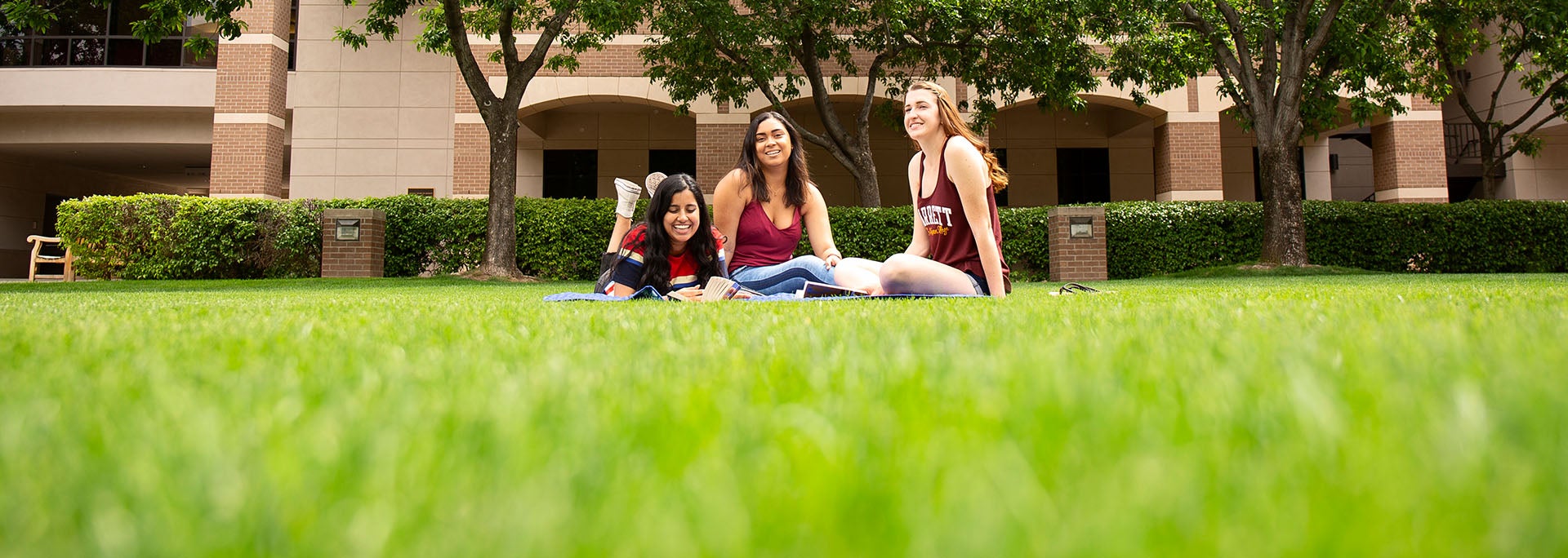Three female students having a conversation on the grass at campus