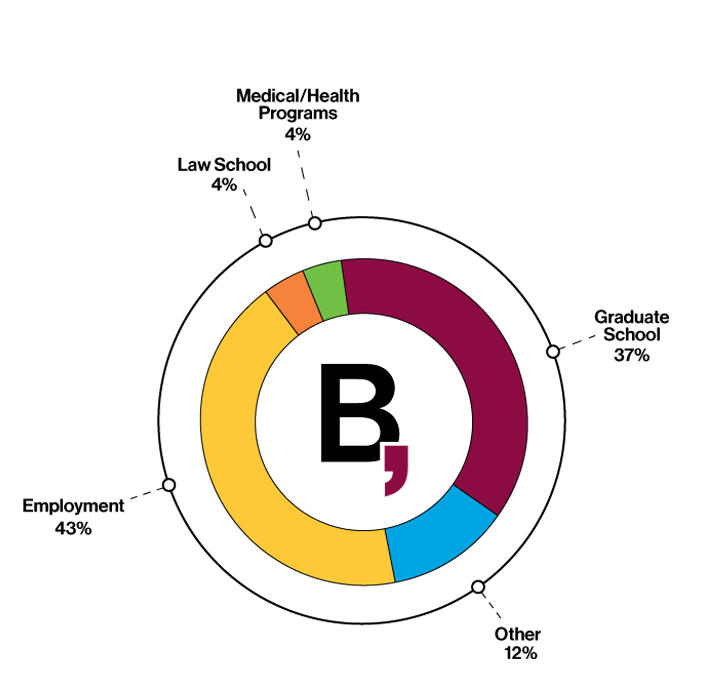 Graduate Outcomes pie chart
